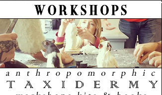 Anthropomorphic Taxidermy Classes in London