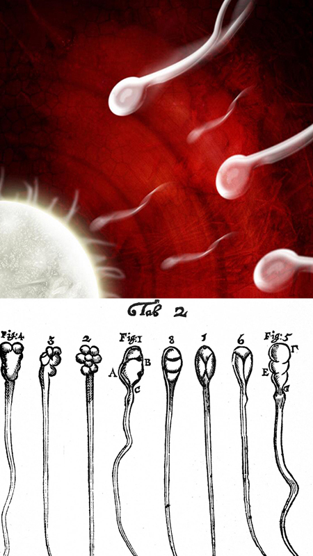 Tove Jansson at the Century Club