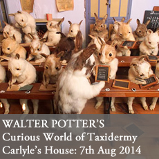 Walter Potter Event taxidermy event national trust london carlyle's house